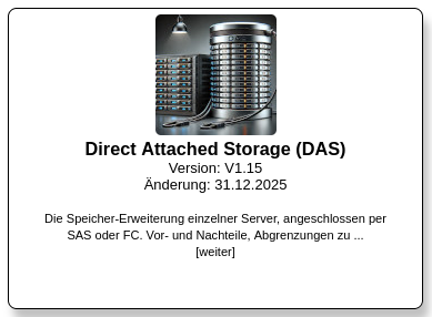 Informationen zu Direct Attached Storage aus der Praxis von Unternehmen