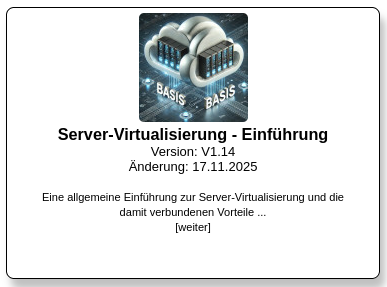 Weitere Informationen zu Server-Virtualisierung unter storitback.de